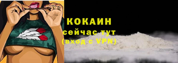 мдпв Лагань