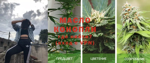 мдпв Лагань