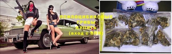 мдпв Лагань