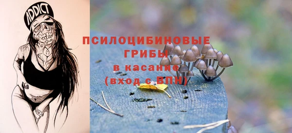 мдпв Лагань