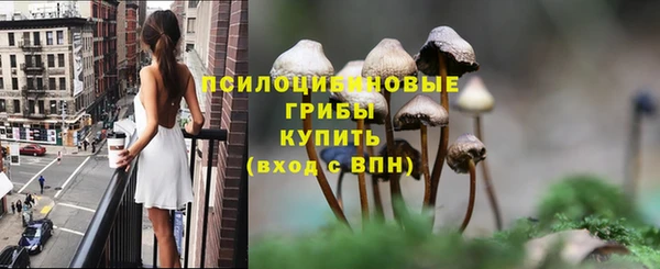 мескалин Ладушкин